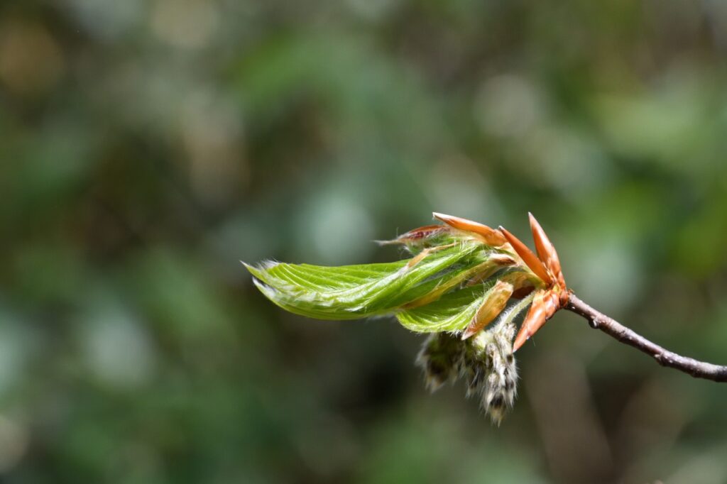 【2026年は「感謝と実践」】